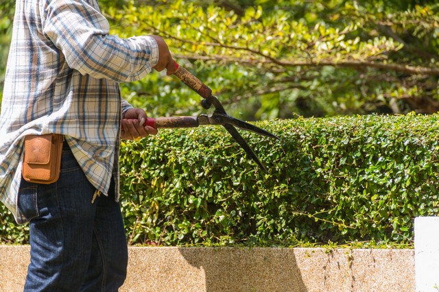 Garden Maintenance Shepperton, Upper Halliford, TW17